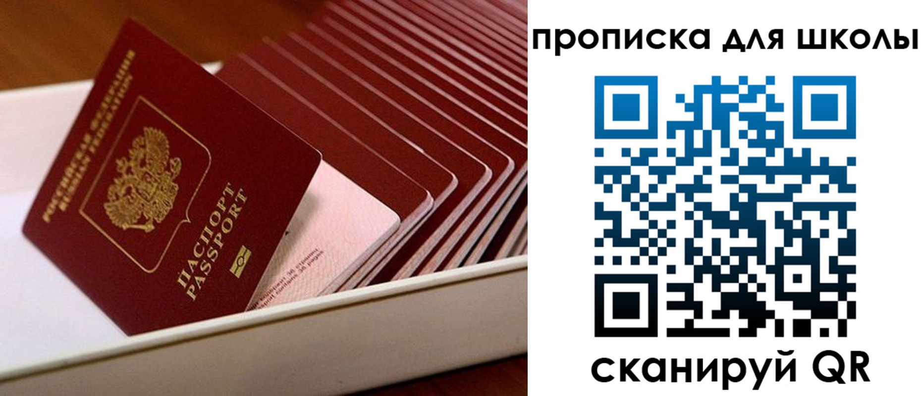 временная регистрация гарантия в Камызяке